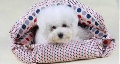 氣溫驟變，謹記寵物保暖工作哦！