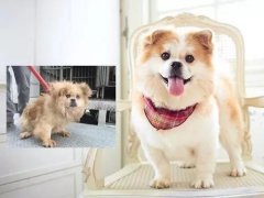 沒有誰，天生丑陋。