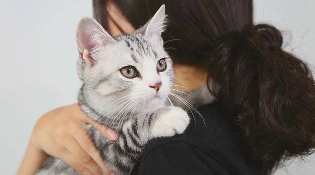 元旦丨新的一年，寵愛有加